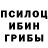 Псилоцибиновые грибы GOLDEN TEACHER Eddie Banza