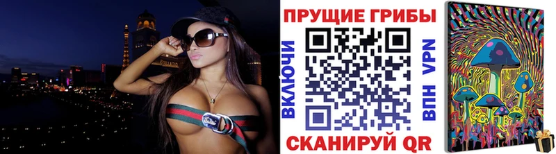 Псилоцибиновые грибы мицелий  Никольское 